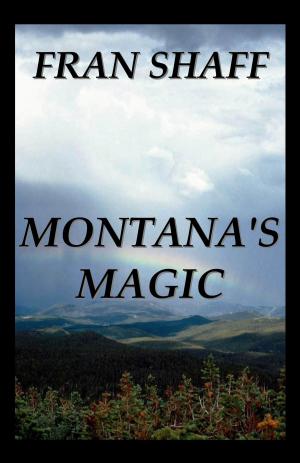 Cover of the book Montana's Magic by Christine Donovan