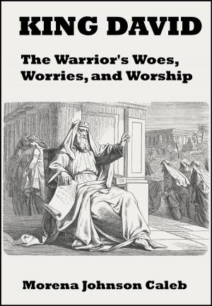 Book cover of King David The Warrior's Woes Worries and Worship