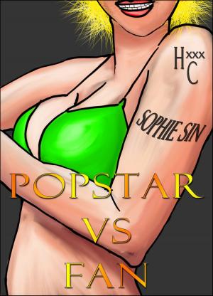 Book cover of Popstar VS Fan