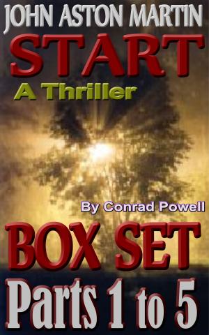 Cover of the book Box Set: Parts 1 to 5 of Start (Detective John Aston Martin Start Thriller Series, Book 1) by Donna Huffer