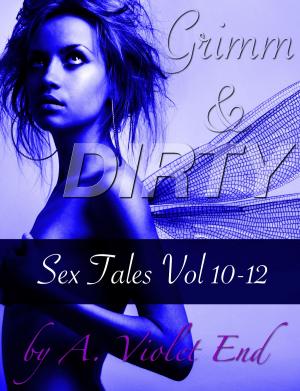 Book cover of Grimm & Dirty Sex Tales Vol 10-12