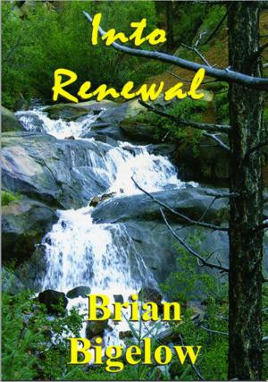 Book cover of Into Renewal