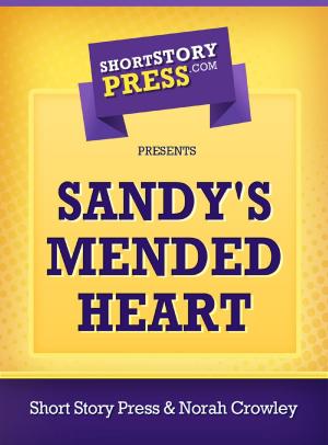 Cover of the book Sandy's Mended Heart by Sarah Zachary