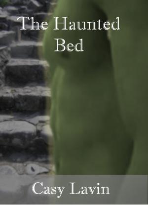 bigCover of the book The Haunted Bed by 