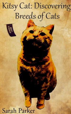 Cover of the book Kitsy Cat: Discovering Breeds of Cats by Casey Odell