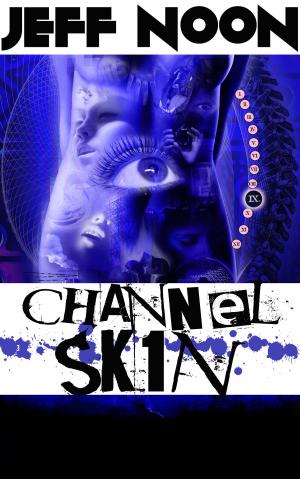 Book cover of Channel Sk1n