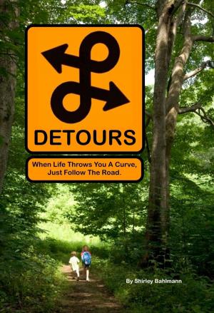 Cover of the book Detours: When Life Throws you a Curve, Just Follow the Road by W. Addison Gast