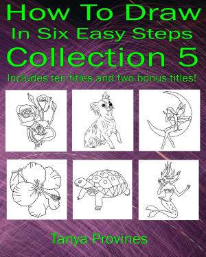 Cover of the book How To Draw In Six Easy Steps Collection 5 by Tanya Provines
