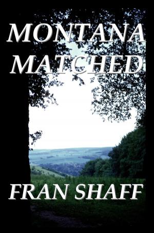 Book cover of Montana Matched