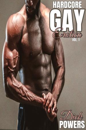 Book cover of Hardcore Gay Erotica Vol. 1