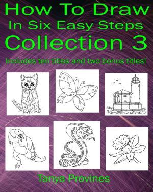 Cover of the book How To Draw In Six Easy Steps Collection 3 by Tanya Provines