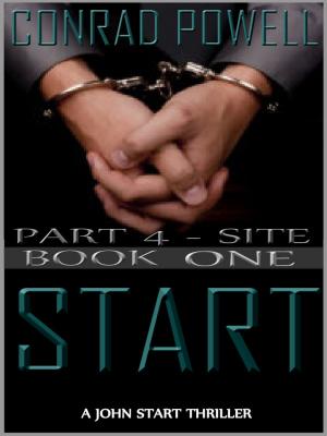 Cover of Site: Part 4 of Start (Detective John Aston Martin Start Thriller Series, Book 1)