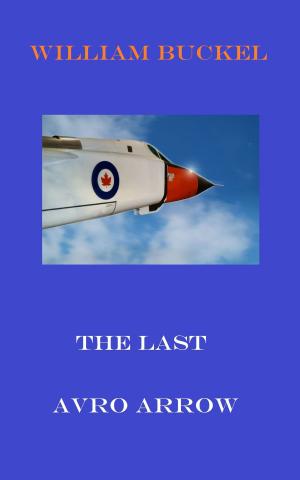 Cover of the book The Last Avro Arrow by Gerry Skoyles