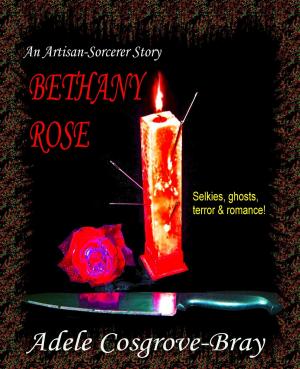bigCover of the book Bethany Rose: An Artisan-Sorcerer Story by 