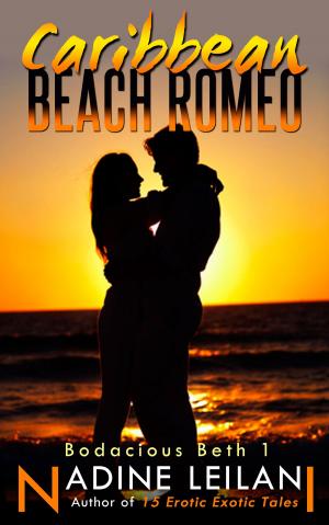 Cover of the book Caribbean Beach Romeo by Anne Calhoun