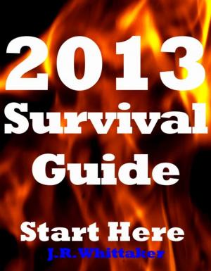 Cover of the book 2013 Survival Guide: Start Here by Laurie Nienhaus