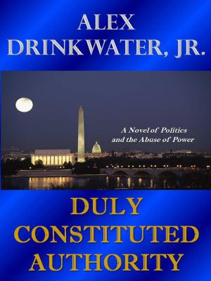 Cover of the book Duly Constituted Authority by Tom Cooper
