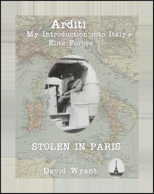 Book cover of STOLEN IN PARIS: The Lost Chronicles of Young Ernest Hemingway: Arditi: My Introduction to Italy's Elite Forces