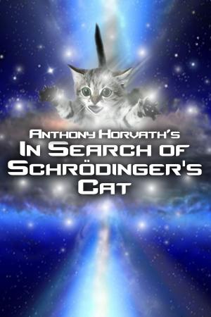 Cover of the book In Search of Schrödinger's Cat by Derek Elkins