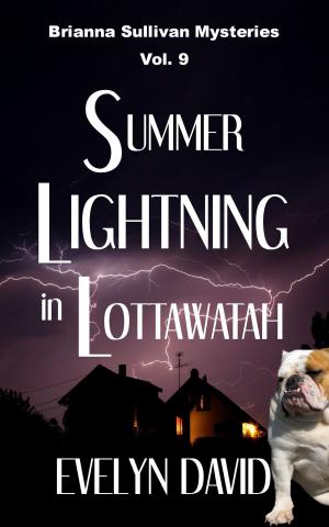 Cover of the book Summer Lightning in Lottawatah by Evelyn David