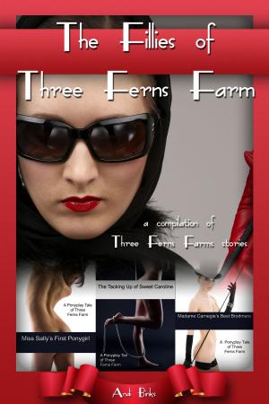 Cover of The Fillies of Three Ferns Farm