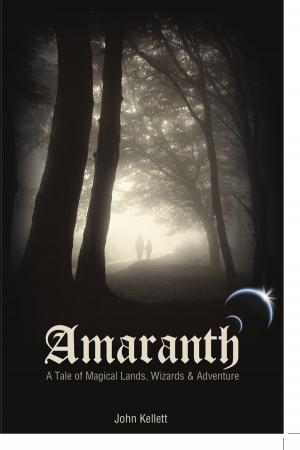 bigCover of the book Amaranth: A Tale of Magical Lands, Wizards and Adventure by 