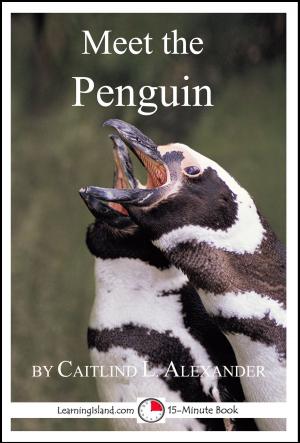 Cover of the book Meet the Penguin: A 15-Minute Book for Early Readers by LearningIsland.com
