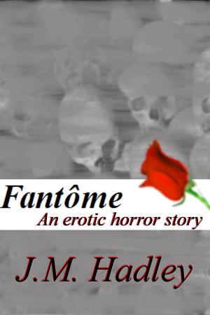 Cover of the book Fantome by J.M. Hadley