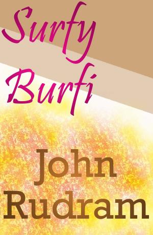 Cover of the book Surfy Burfi by Elizabeth Barbone