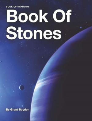 Book cover of Book Of Shadows: Book Of Stones