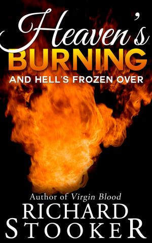 Book cover of Heaven's Burning