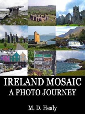 Book cover of Ireland Mosaic: A Photo Journey