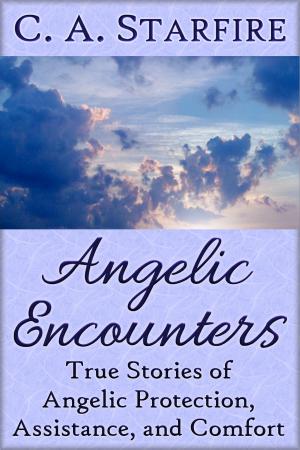 bigCover of the book Angelic Encounters: True Stories of Angelic Protection, Assistance, and Comfort by 