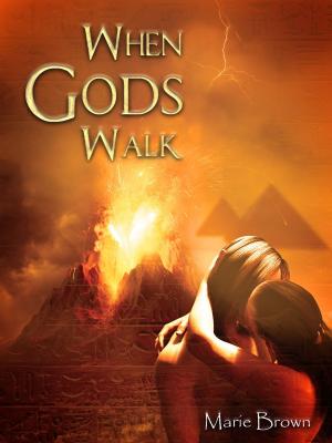 Cover of the book When Gods Walk by Fabienne Dubois