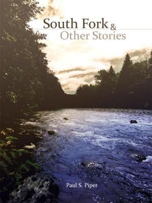 Cover of the book South Fork & Other Stories by Howard Weinstein