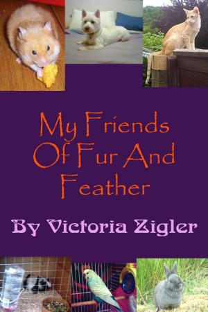 Cover of My Friends Of Fur And Feather