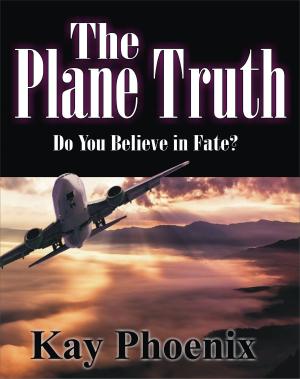 Book cover of The Plane Truth