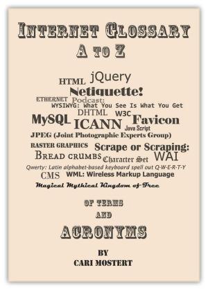 Cover of the book Internet Glossary A to Z of Terms and Acronyms by Paul Werny