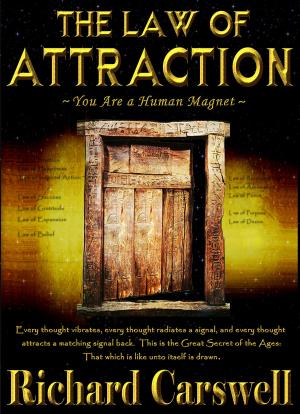 bigCover of the book The Law of Attraction:You Are A Human Magnet by 