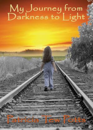Book cover of My Journey from Darkness to Light