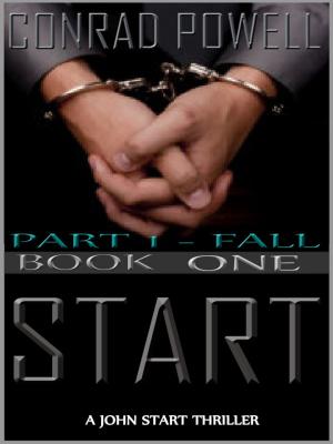 Cover of Fall: Part 1 of Start (Detective John Aston Martin Start Thriller Series, Book 1)