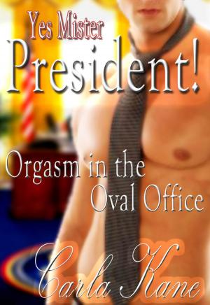 Cover of the book Yes Mister President! Orgasm in the Oval Office by Carla Kane