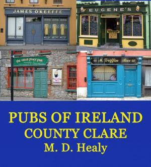 Cover of the book Pubs of Ireland County Clare by D. L. Logan