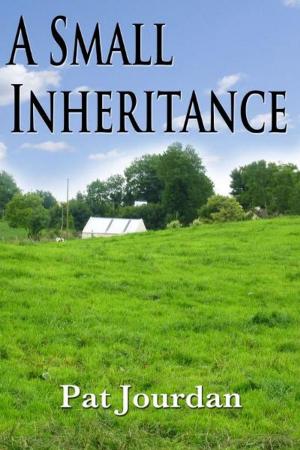 Cover of the book A Small Inheritance by Bernard Marlière, Editions Jourdan