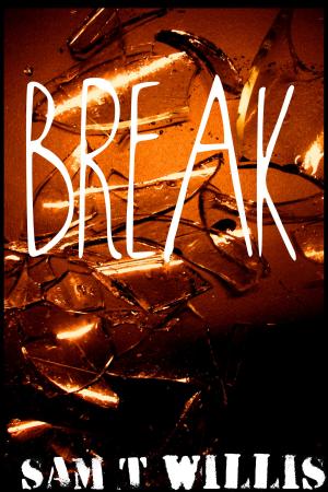 Cover of the book Break by DB Jackson