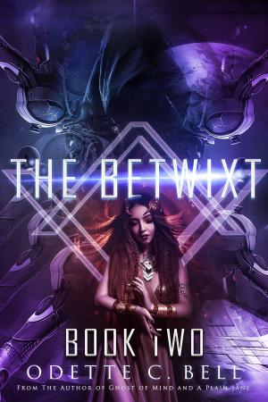 bigCover of the book The Betwixt Book Two by 