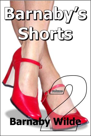 Book cover of Barnaby's Shorts (Volume Two)