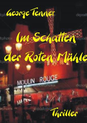 Cover of the book Im Schatten der Roten Mühle by Shelley Coriell
