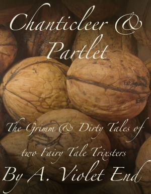 Book cover of Chanticleer & Partlet, the Grimm and Dirty Tales of Two Fairy Tale Trixters