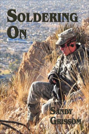 Cover of the book Soldiering On by Sand Wayne